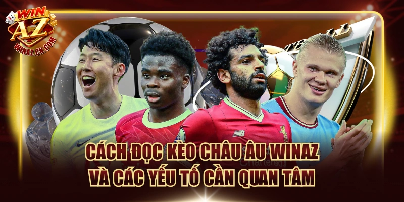 Cách Đọc Kèo Châu Âu Winaz Và Các Yếu Tố Cần Quan Tâm